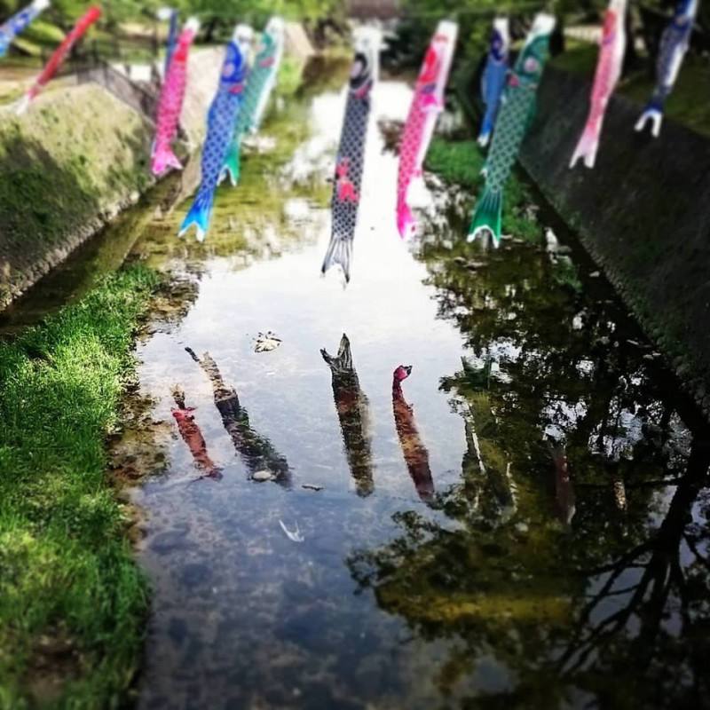 画像の説明